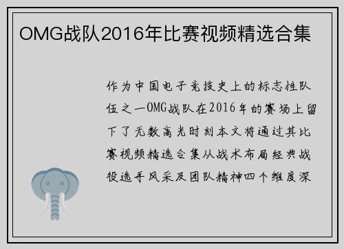 OMG战队2016年比赛视频精选合集